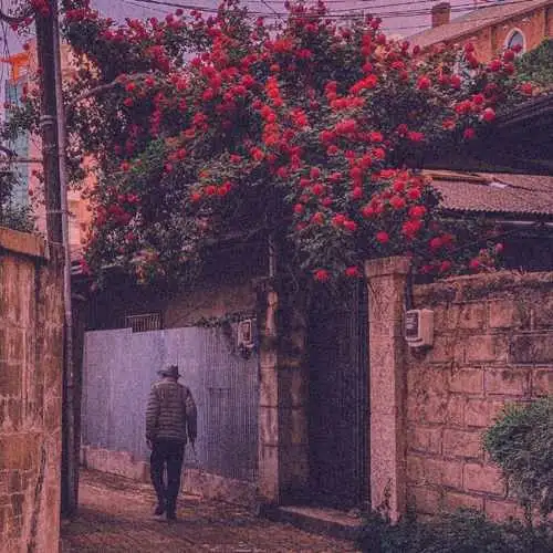 دفتر خاطرات ۱